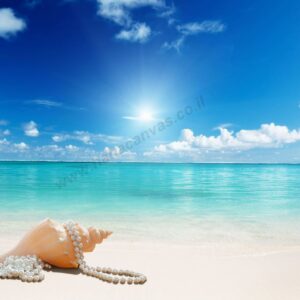 תמונת נוף ים לסלון: חוף ים, שמיים כחולים וקונכיה, הדפסת תמונות קיר לסלון | מס' L-001
