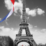 תמונה יפה לסלון: מגדל אייפל שחור-לבן ודגל צרפת צבעוני, מס' L-033 | חיוכים